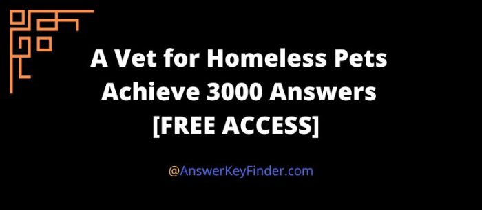 A vet for homeless pets achieve 3000