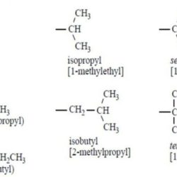 Lab 21 organic compounds alkanes