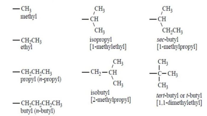 Lab 21 organic compounds alkanes