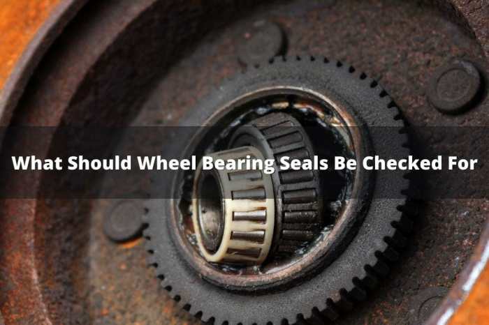 You should inspect wheel bearing seals for