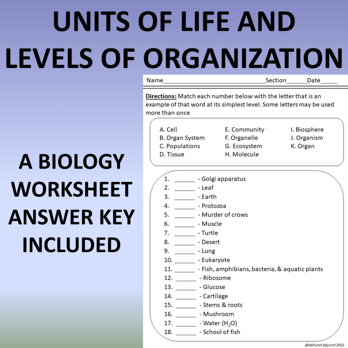 Levels of biological organization worksheet