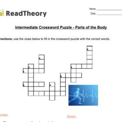 Trunk in two senses crossword