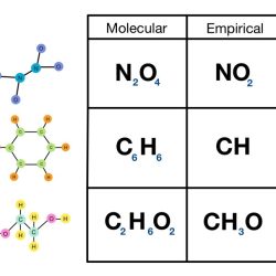 Molecular empirical worksheet formulas grade reviewed curated