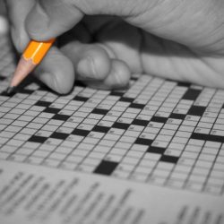 Background for policy decisions crossword