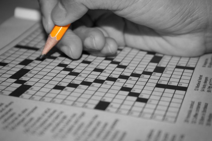 Background for policy decisions crossword