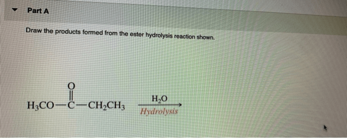 Draw the products formed from the ester hydrolysis reaction shown